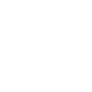 Opodatkowanie międzynarodowe Ikona networkingu